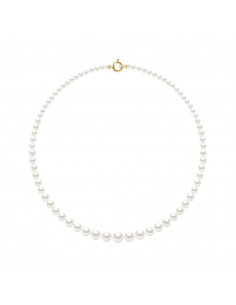 Collier Rang de Perles en Chute 11 à 5 mm - Longueur 50...