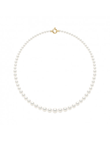 Collier Rang de Perles en Chute 11 à 5 mm - Longueur 50 cm - Fermoir Or