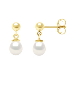 Boucles d'Oreilles - Boules en Or  375 Millièmes orné de...