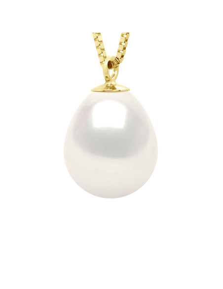 Collier Maille Vénitienne en Vermeil (Argent 925 Millièmes plaqué Or Jaune)  et Véritable Perle